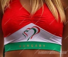 I_like_Hungary.jpg